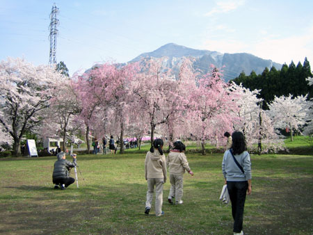 IMG_1984.jpg