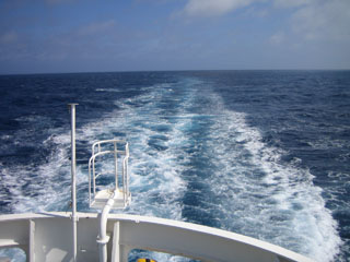 IMG_2444.jpg
